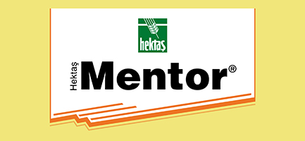 HEKTAŞ MENTOR®