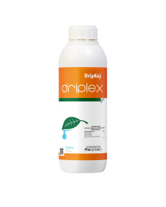 Driplex