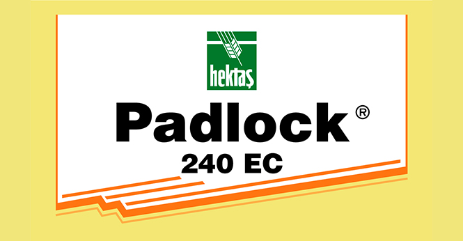 PADLOCK® 240 EC