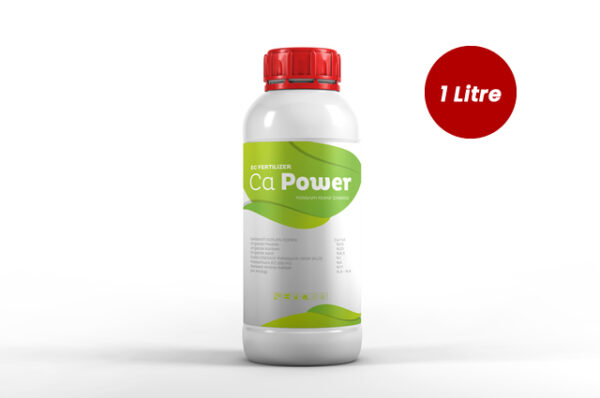 Ca Power