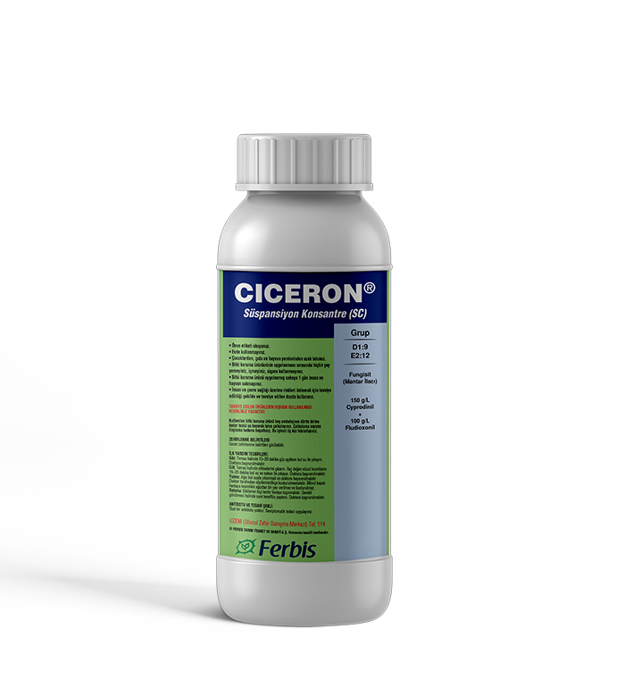 Ciceron