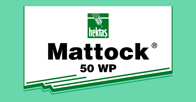 MATTOCK® 50 WP