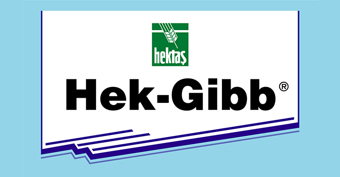 HEK-GİBB®