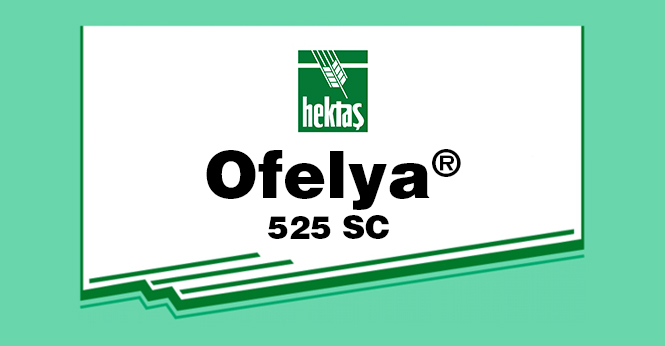 OFELYA® 525 SC