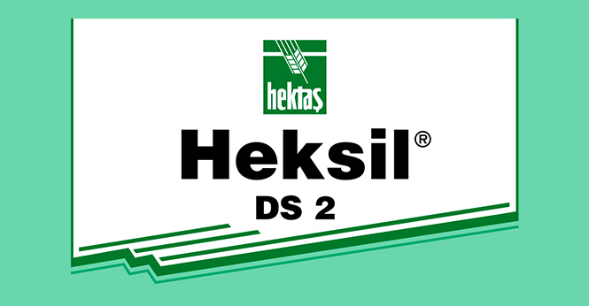 HEKTAŞ HEKSİL® DS 2