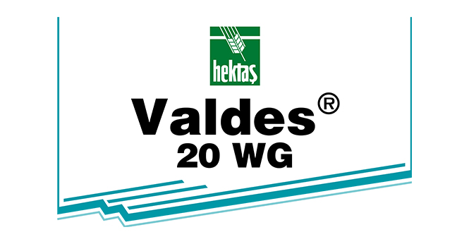 VALDES® 20 WG