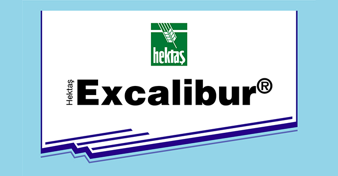 HEKTAŞ EXCALIBUR®