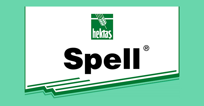 SPELL®
