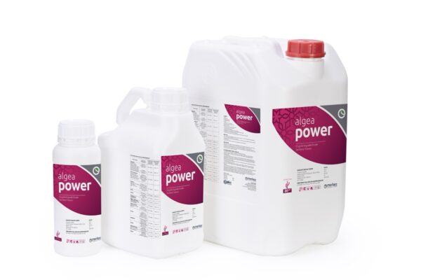 Algea Power
