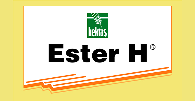 HEKTAŞ ESTER’H®