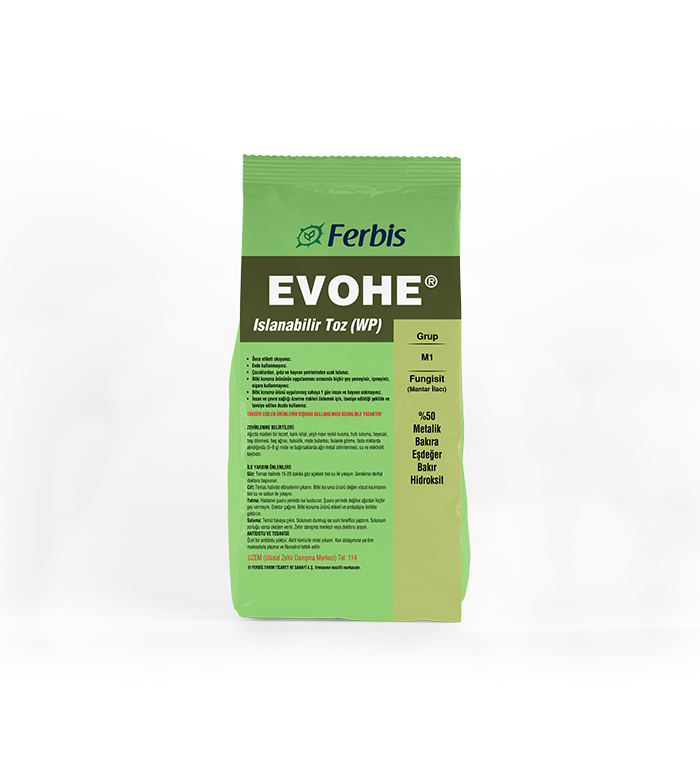Evohe