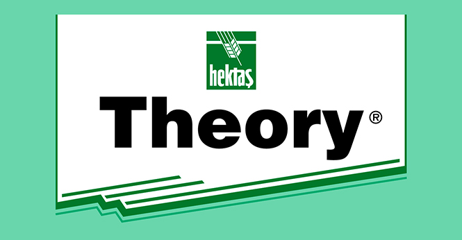 THEORY®
