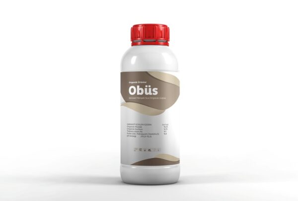 Obüs