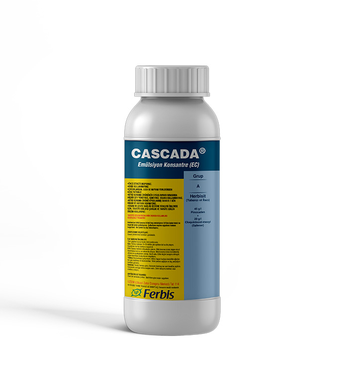 Cascada