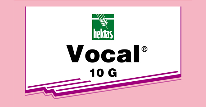 VOCAL® 10 G