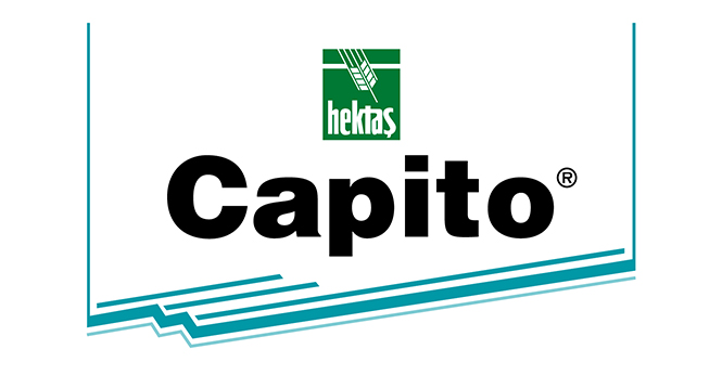 CAPITO®