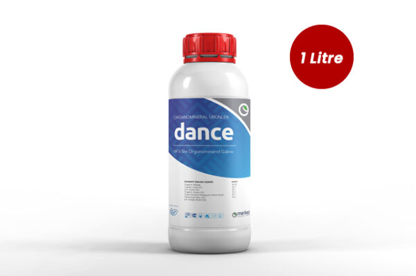 Dance
