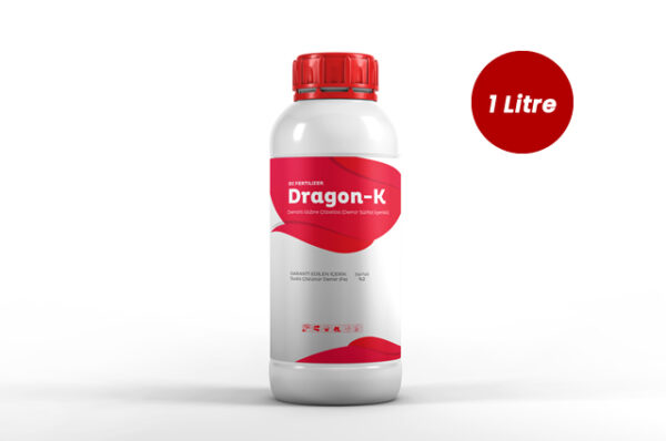 Dragon K
