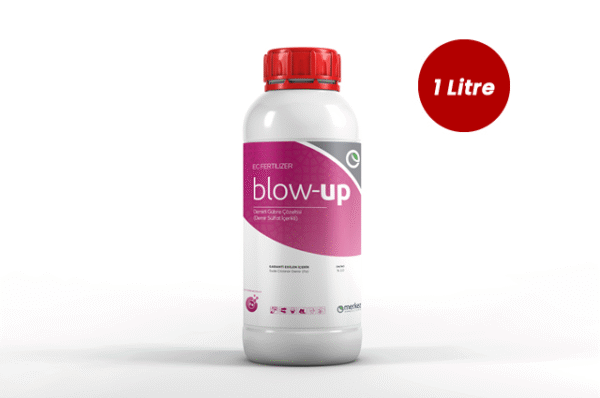 Blow Up