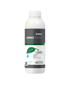 Amino Power