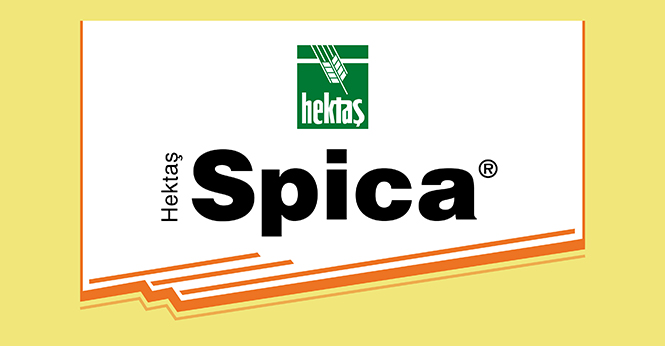 HEKTAŞ SPICA®