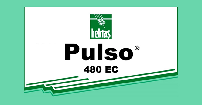 PULSO® 480 EC