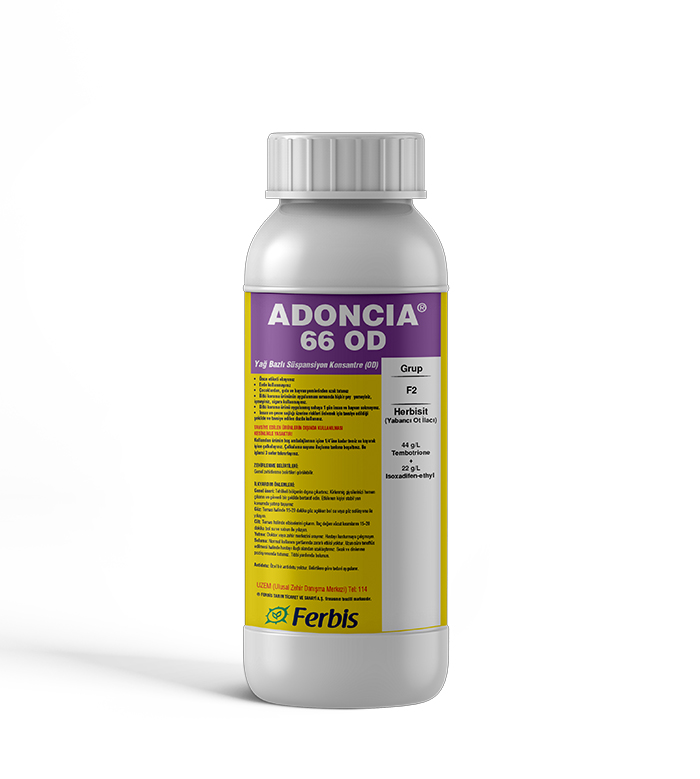 Adoncia 66 OD