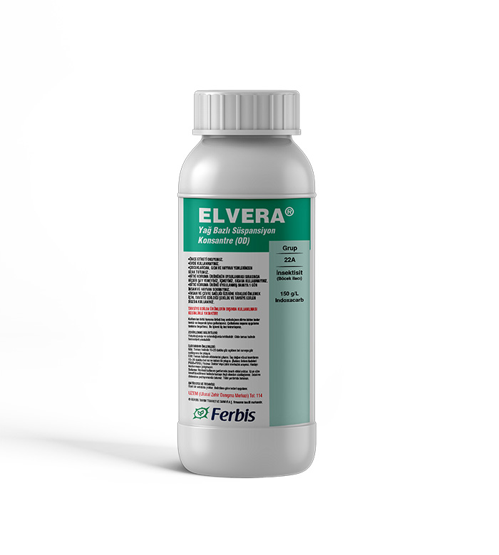 Elvera