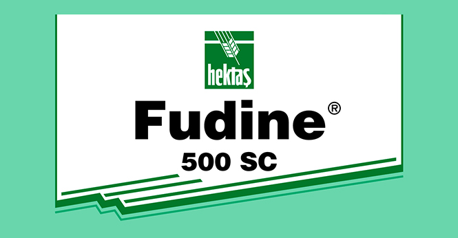 FUDINE® 500 SC