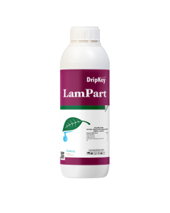 Lampart