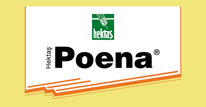 HEKTAŞ POENA®