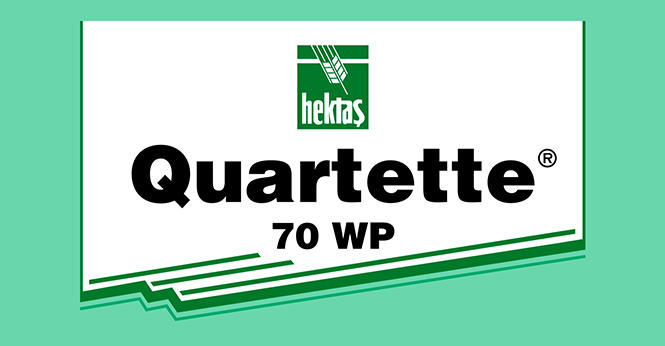 QUARTETTE® 70 WP