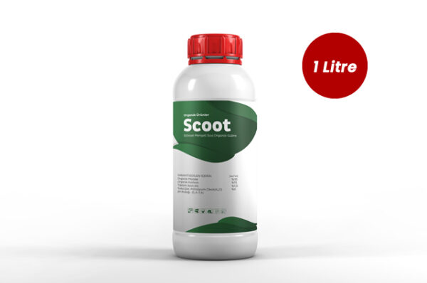 Scoot