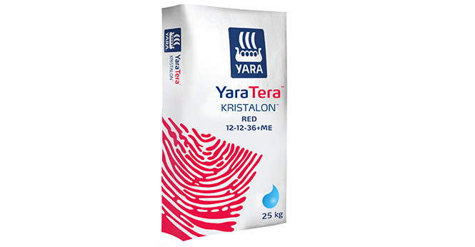 Yara Kristalon Red 12.12.36 + ME