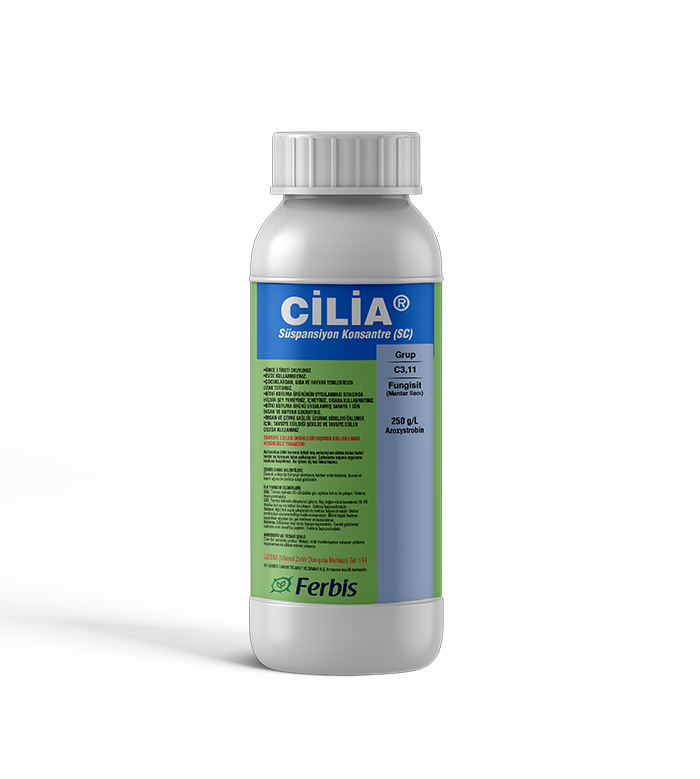 Cilia