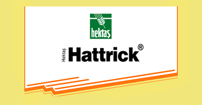 HEKTAŞ HATTRİCK®