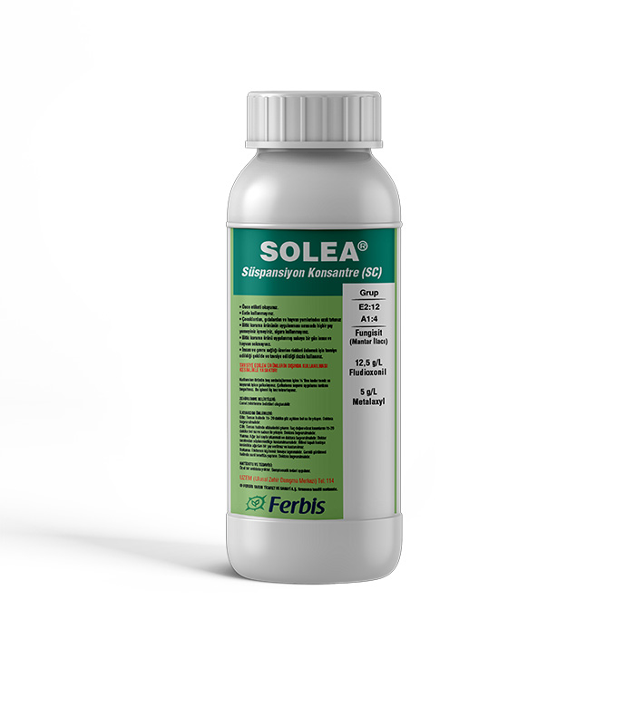 Solea