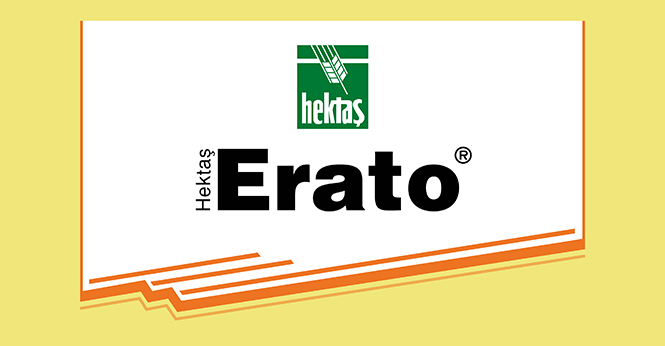 HEKTAŞ ERATO®