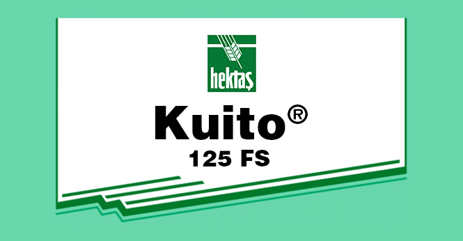 KUITO® 125 FS
