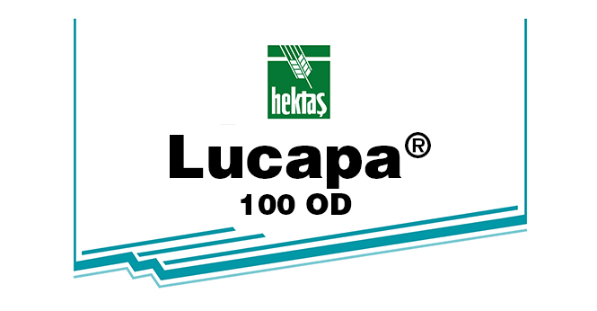 LUCAPA® 100 OD