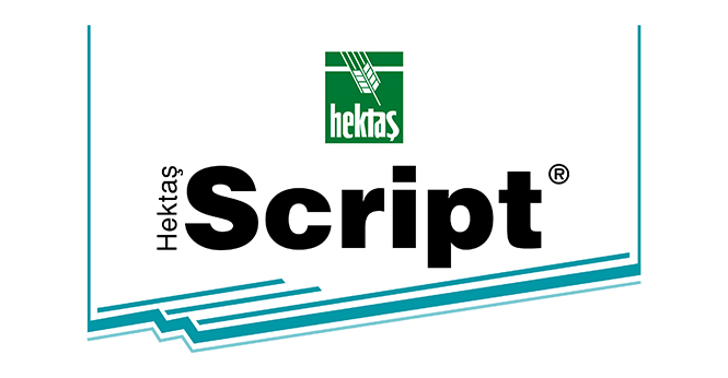 HEKTAŞ SCRİPT®