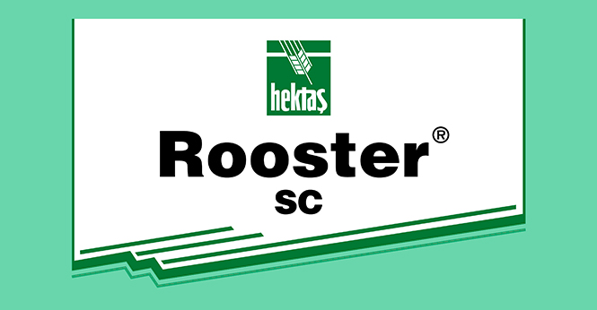 ROOSTER® SC