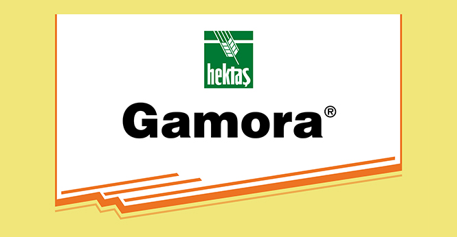 GAMORA®