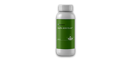 SUPA BOR PLUS %9,5 B