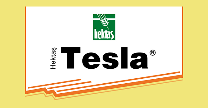 HEKTAŞ TESLA®