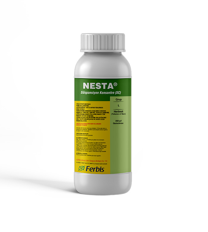 Nesta