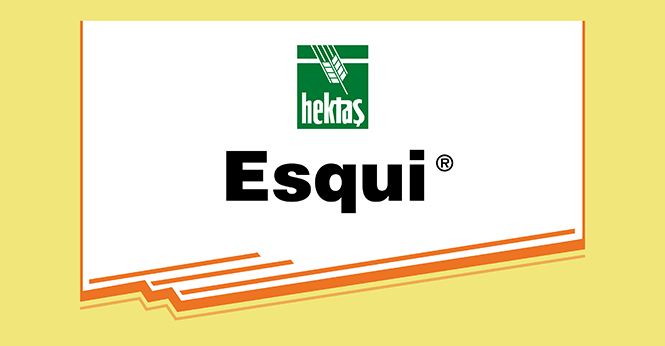 ESQUI®