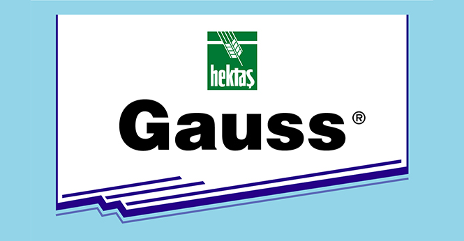 HEKTAŞ GAUSS®
