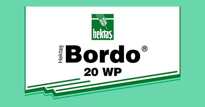 HEKTAŞ BORDO® 20 WP