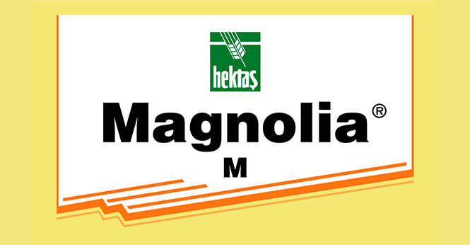 MAGNOLİA® M